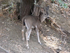 IMG_0533.JPG
