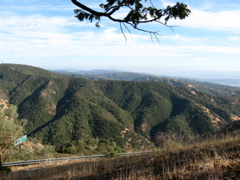 IMG_0591.JPG