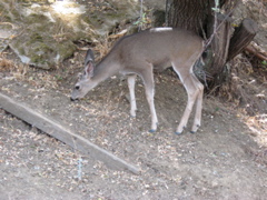 IMG_0535.JPG