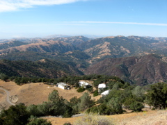 IMG_0542.JPG